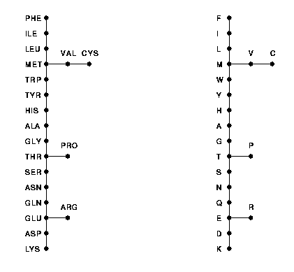 topology